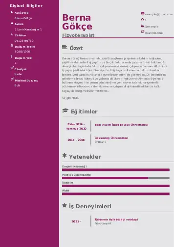 Fizyoterapist Cv Örnekleri cv indir